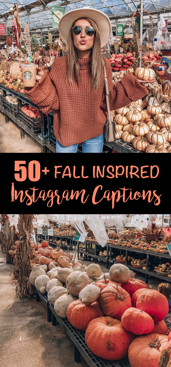 pumpkin captions for instagram